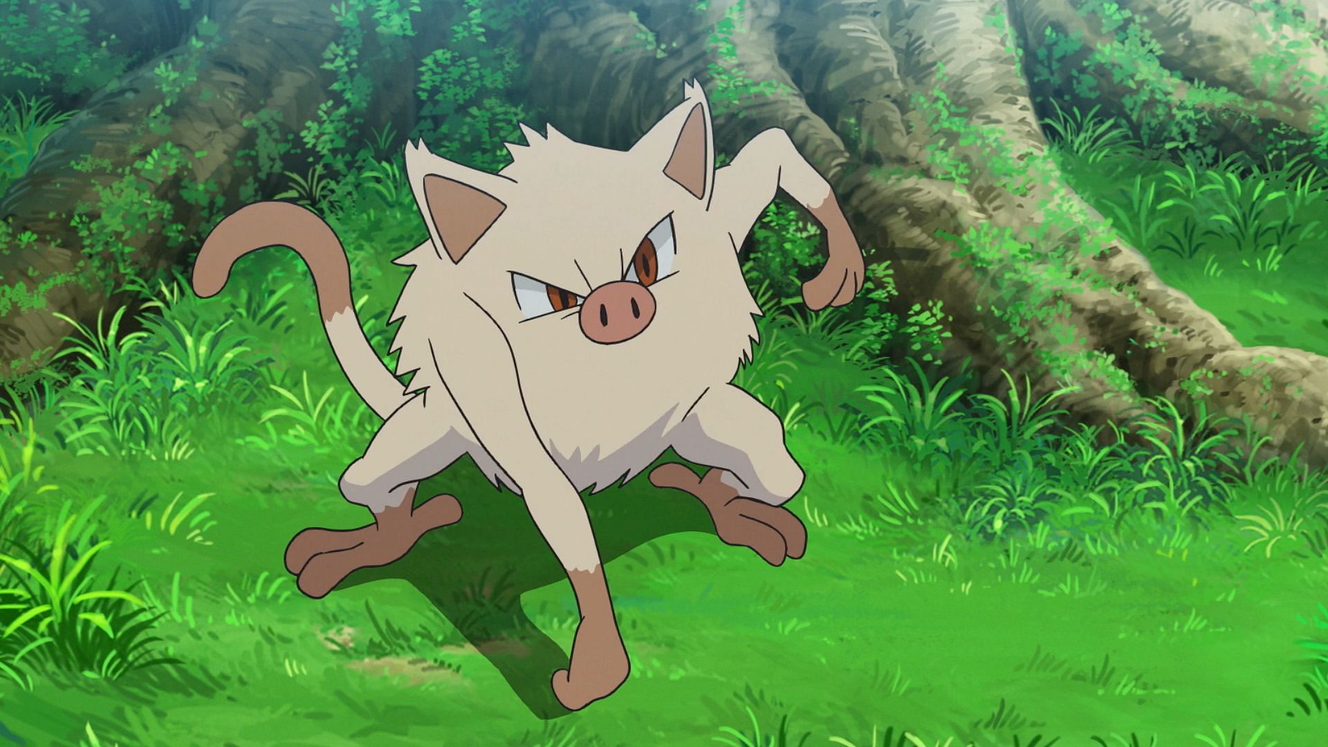 Mankey in the anime (Image via TPC)